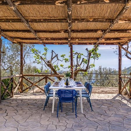 Villa Rusinella Minimalist Retreat With Sea Views Massa Lubrense Eksteriør billede