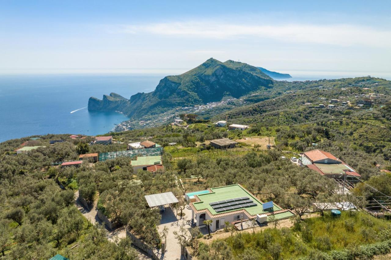 Villa Rusinella Minimalist Retreat With Sea Views Massa Lubrense Eksteriør billede